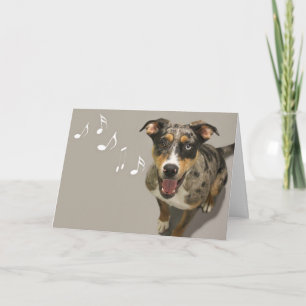 Catahoula Singcard via Focus for a Oorzaak Kaart