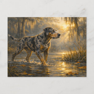 Catahoula Sunrise   Jachthond Kunst   Briefkaart