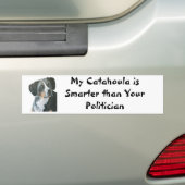 Catahoula vs Politicien Bumber Sticker (Op auto)