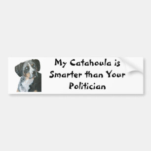 Catahoula vs Politicien Bumber Sticker