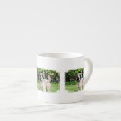 Catalan Sheepdog - Peppa Espresso Kop (Voorkant rechts)