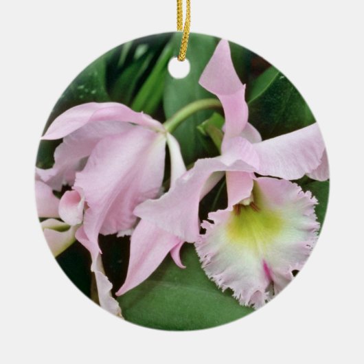 Catalaya orchidebloemen keramisch ornament (Voorkant)
