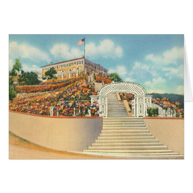 Catalina (Devant horizontal)