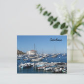 Catalina, Californië Briefkaart (Staand voorkant)