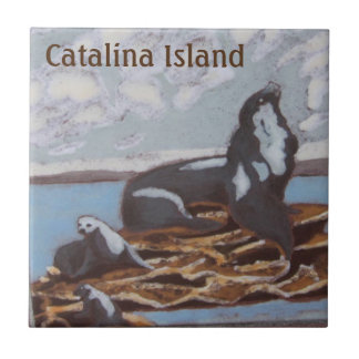 CATALINA EILAND KERAMISCHE TEGEL CATALINA FAMILIE TEGELTJE