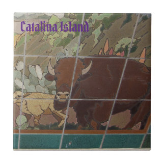 CATALINA EILAND KERAMISCHE TEGEL EILAND GELAAT TEGELTJE