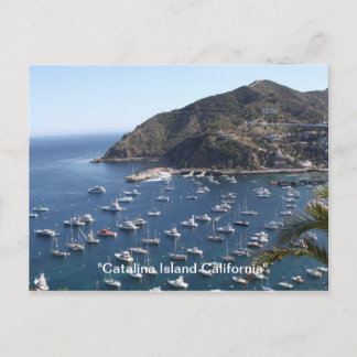 , "Catalina Island California" Briefkaart