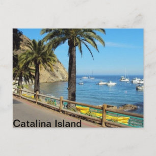 Catalina Island Carte postale