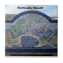 CATALINA ISLAND CERAMIC TILE TEGELTJE