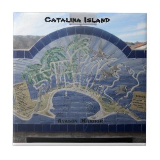 CATALINA ISLAND CERAMIC TILE TEGELTJE