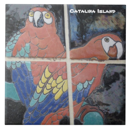 CATALINA ISLAND CERAMIC TILE TEGELTJE (Voorkant)