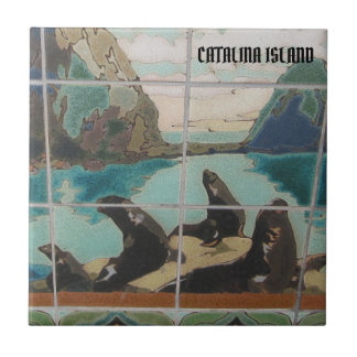 CATALINA ISLAND CERAMIC TILE THE ISLANDERS TEGELTJE