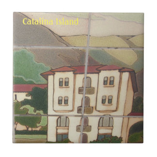 CATALINA ISLAND KERAMISCHE TEGEL FAVORIETE PLAATS TEGELTJE