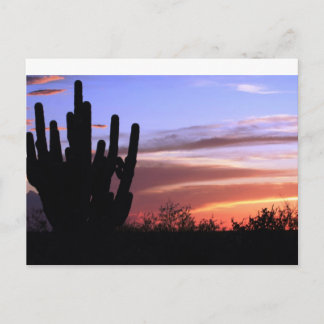 Catalina Mountains Sunset Briefkaart