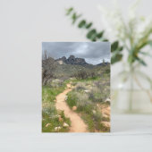 Catalina Mountains Trail Briefkaart (Staand voorkant)