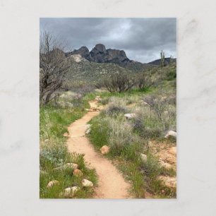 Catalina Mountains Trail Briefkaart