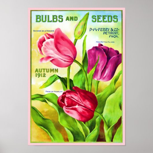 Catalogue des ampoules de tulipe Affiche d'illustr (Devant)