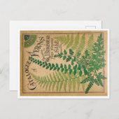 Catalogus Ferns Briefkaart (Voorkant / Achterkant)
