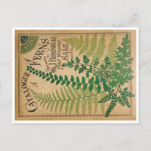 Catalogus Ferns Briefkaart