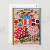 Catalogus  kousenbloem briefkaart (Voorkant / Achterkant)