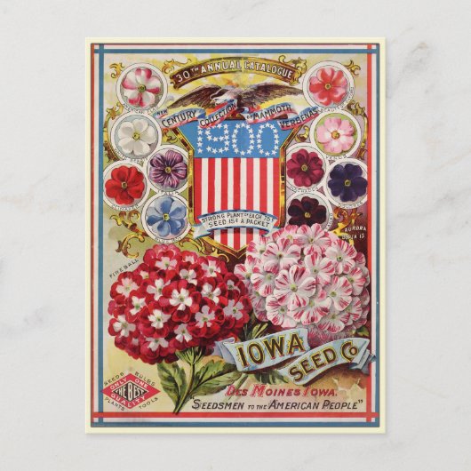 Catalogus  kousenbloem briefkaart (Voorkant)