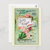 Catalogus  kousenbloem briefkaart (Voorkant / Achterkant)