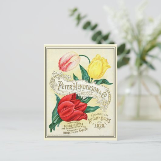 Catalogus  kousenbloem briefkaart (Staand voorkant)