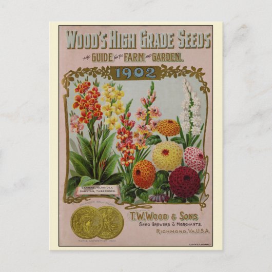 Catalogus kousenbloem briefkaart (Voorkant)