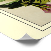 Catalogus kousenbloem poster (Hoek)