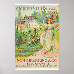 Catalogus  kousenbloem poster