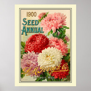 Catalogus kousenbloem poster