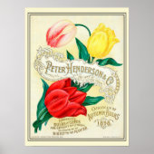 Catalogus kousenbloem poster (Voorkant)