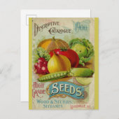  Catalogus van groentezaad Briefkaart (Voorkant / Achterkant)