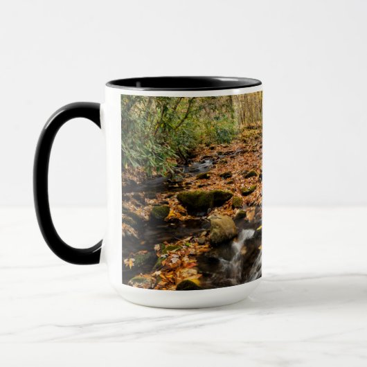 Cataloochee Creek NC: Grote rokergebergte Mok (Links)