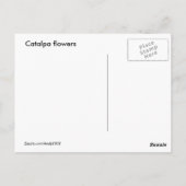 Catalpa blooms ~ briefkaart (Achterkant)