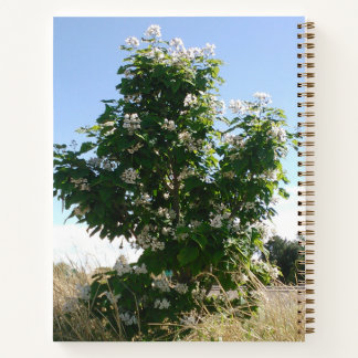 Catalpa Boom in Bloei Notitieboek