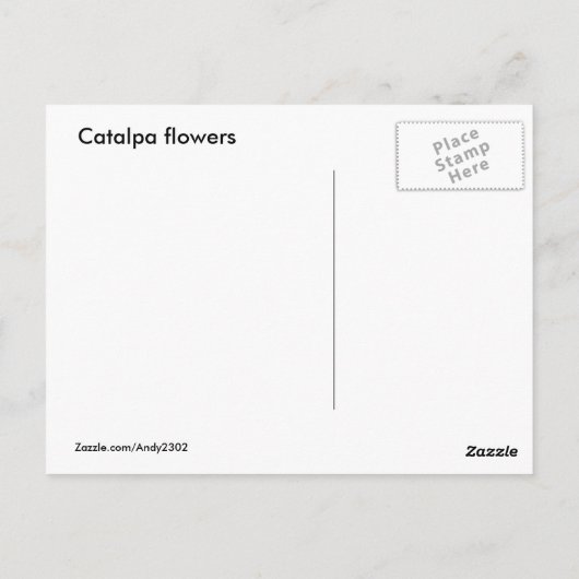 Catalpa fleurit ~ carte postale (Dos)