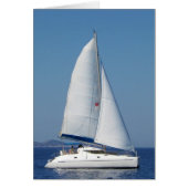 Catamaran Catchup (Voorkant)
