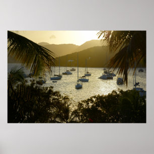 Catamarans en zeilboten poster
