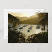 Catamarans & Sailboats Briefkaart (Voorkant / Achterkant)