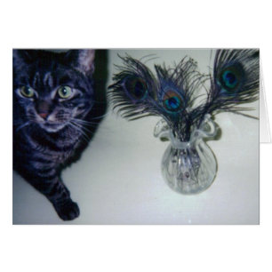 catandpeacockfeathers 001