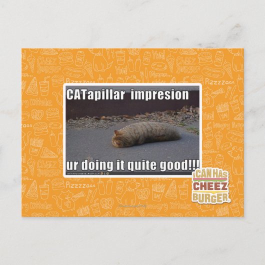 CATapillar Briefkaart (Voorkant)