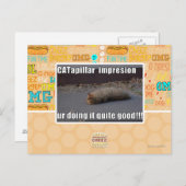 CATapillar Briefkaart (Voorkant / Achterkant)