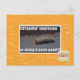 CATapillar Briefkaart