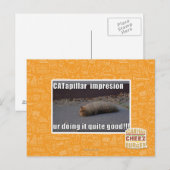 CATapillar Briefkaart (Voorkant / Achterkant)
