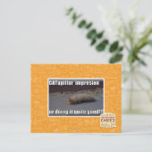 CATapillar Briefkaart (Staand voorkant)