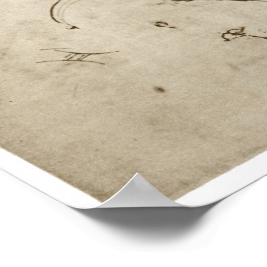 Catapult, Leonardo da Vinci, 1490 Poster (Hoek)