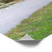 Cataract Covered Bridge over Mill Creek Poster (Hoek)