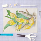 Catasetum Macrocaprum (Orchid) van Jean Linden Tissuepapier (Craft)