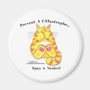CATastrophe Magneet